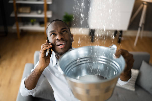 Best Mold removal after water damage  in Aliso Viejo, CA