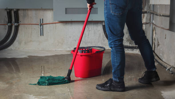 Best 24/7 water damage repair  in Aliso Viejo, CA