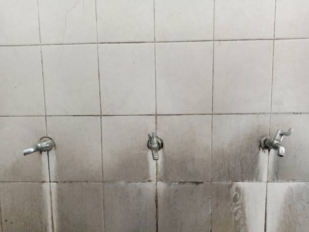 Best 24-hour water damage restoration  in Aliso Viejo, CA