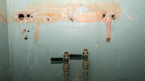 Best Flood restoration services  in Aliso Viejo, CA