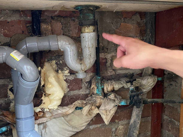 Best Water damage restoration near me  in Aliso Viejo, CA