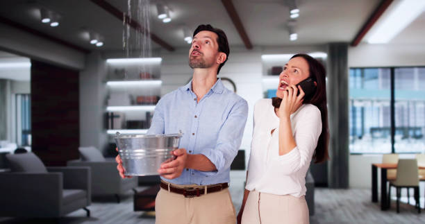 Best Flooded house restoration  in Aliso Viejo, CA